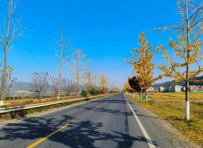 淳杨线自驾游，千岛湖最美路线是这条吗？-第1张图片-星月文旅