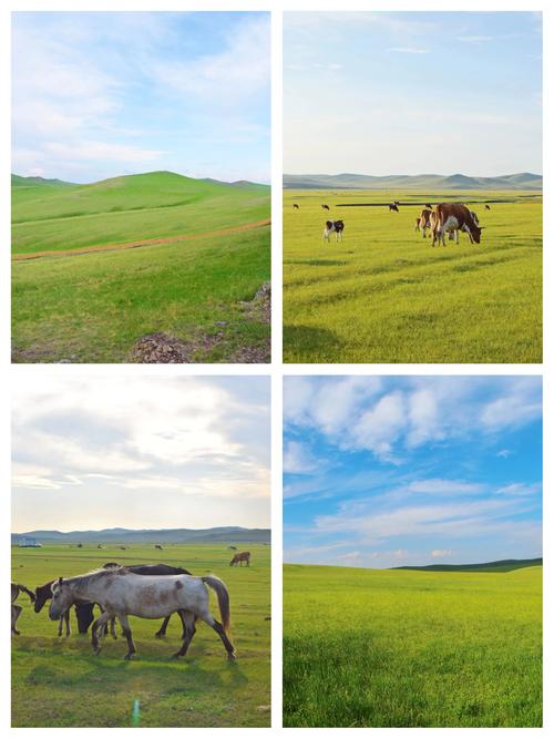 呼伦贝尔必去景点有哪些？-第1张图片-星月文旅