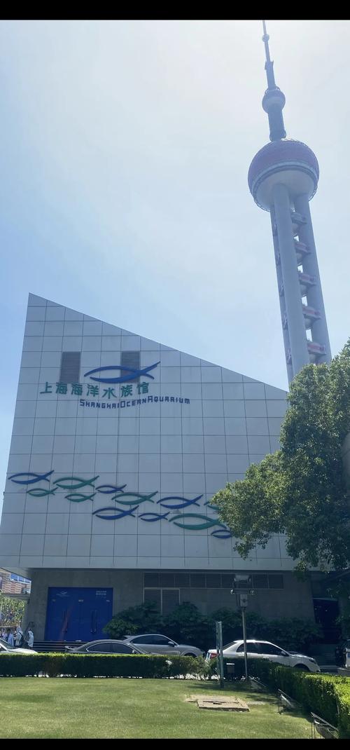 上海海洋水族馆自驾游怎么去？-第1张图片-星月文旅