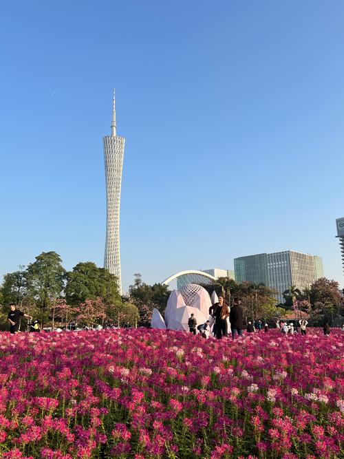 广州有哪些绝美花海旅游景点？-第1张图片-星月文旅