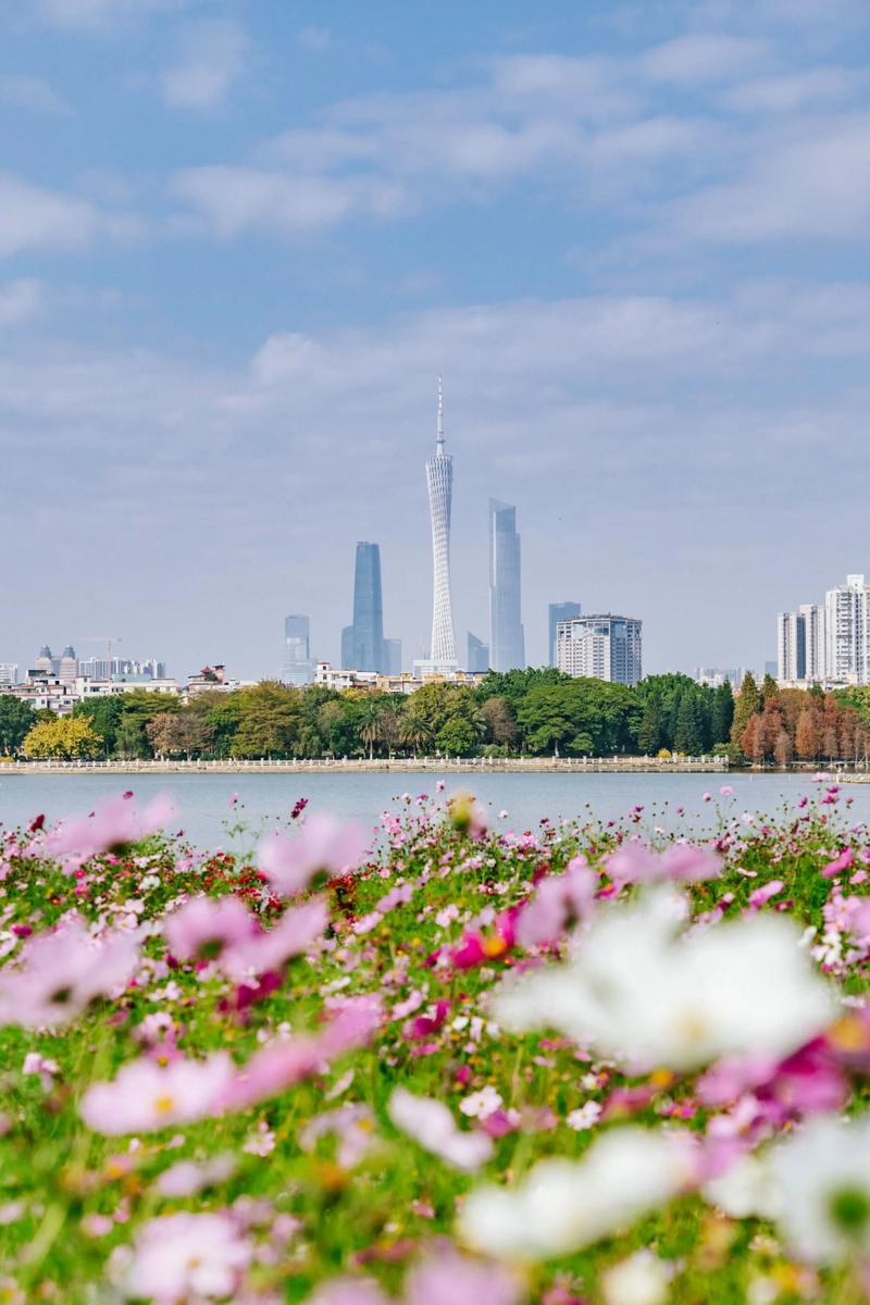 广州有哪些绝美花海旅游景点？-第3张图片-星月文旅