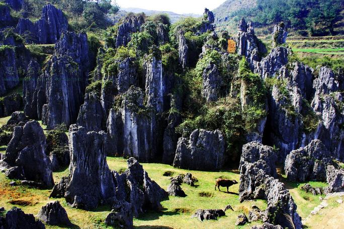 贵州思南有哪些必游景点？-第1张图片-星月文旅