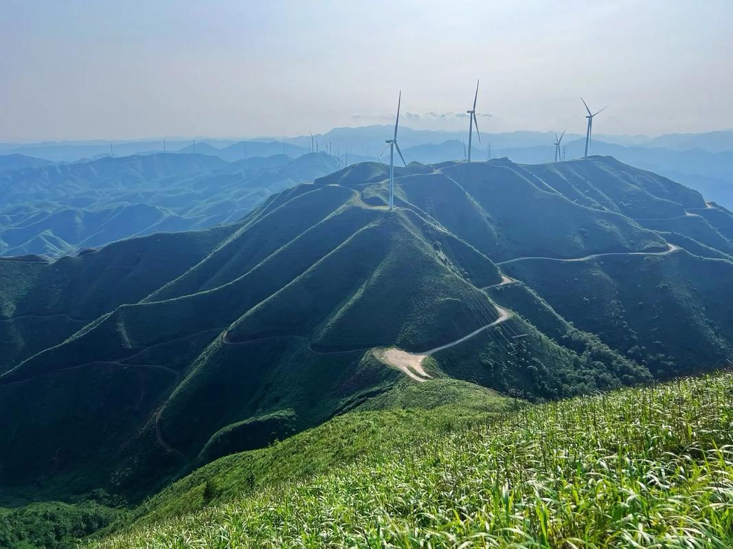 广西宾阳有哪些值得一游的景点？-第2张图片-星月文旅