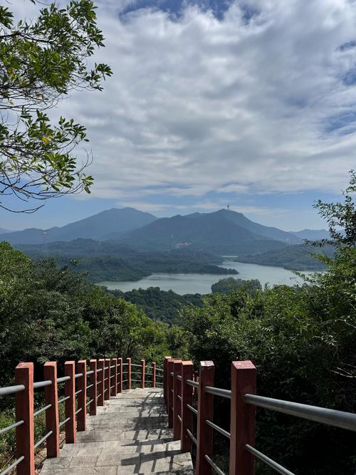 深圳有哪些安静的小众景点？-第1张图片-星月文旅