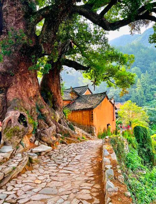 松阳必去景点有哪些？-第2张图片-星月文旅