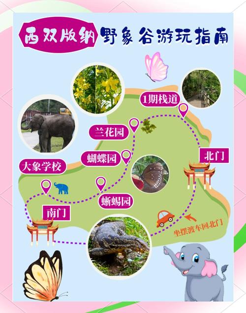 西双版纳野象谷怎么玩最尽兴？-第1张图片-星月文旅