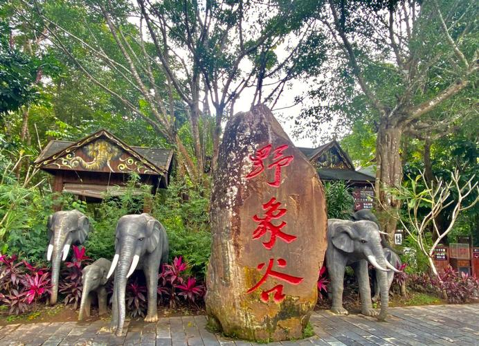 西双版纳野象谷怎么玩最尽兴？-第2张图片-星月文旅