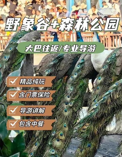 西双版纳野象谷怎么玩最尽兴？-第3张图片-星月文旅