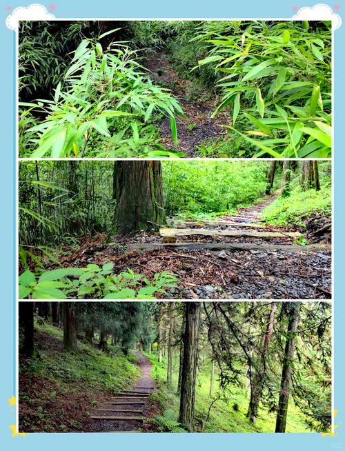 重庆武隆仙女山旅游怎么玩最尽兴？-第2张图片-星月文旅