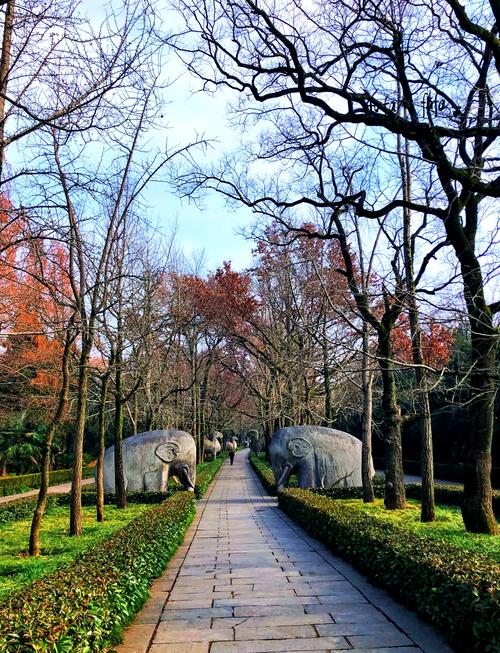 南京钟山风景区怎么玩最省时省力？-第2张图片-星月文旅