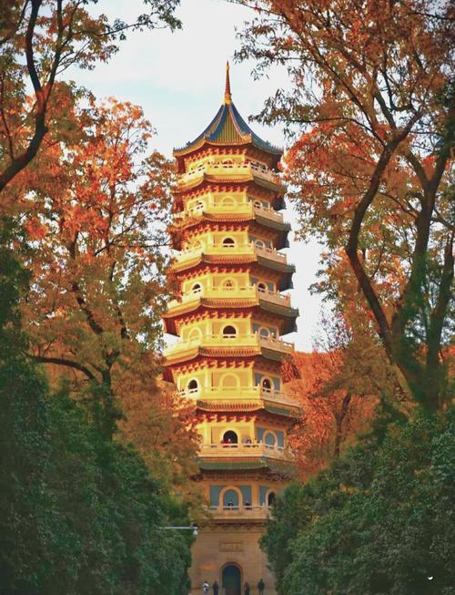 南京钟山风景区怎么玩最省时省力？-第3张图片-星月文旅