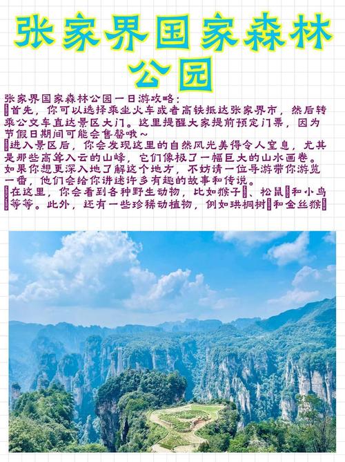张家界森林公园旅游攻略有哪些必玩景点？-第2张图片-星月文旅