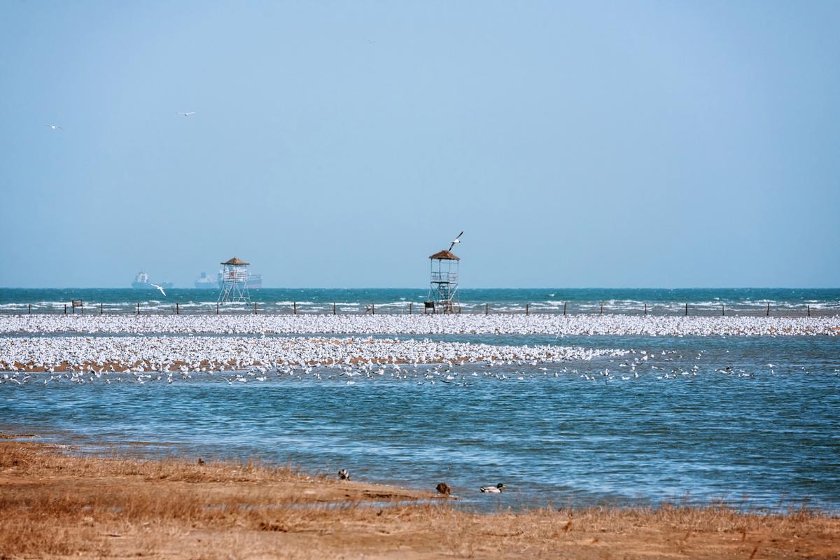 河北北戴河有哪些必游景点？-第1张图片-星月文旅