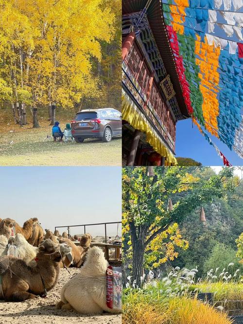 唐山出发一天自驾游，能玩多远？-第3张图片-星月文旅