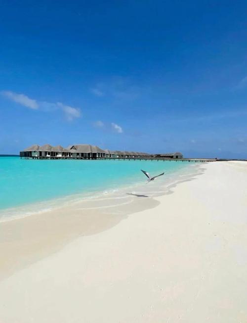 马尔代夫自由行怎么玩？攻略指南看这里！-第3张图片-星月文旅