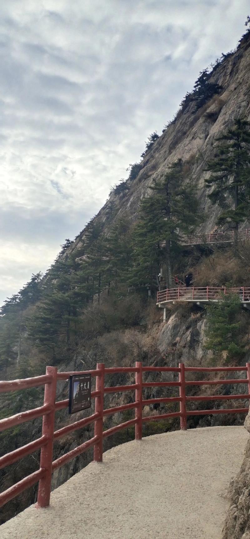 栾川老君山自驾游怎么玩最省心？-第3张图片-星月文旅