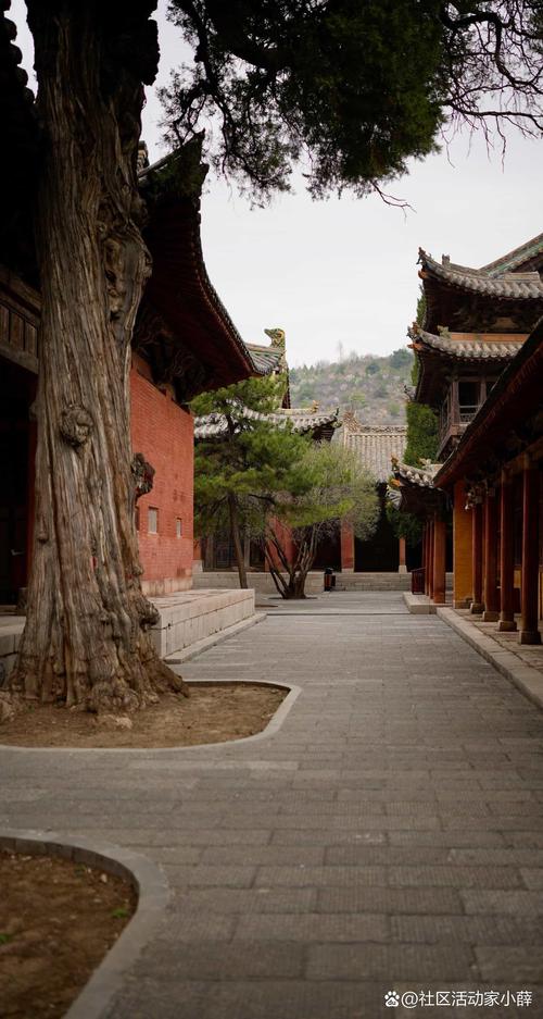 晋城一日游有哪些景点值得去？-第2张图片-星月文旅