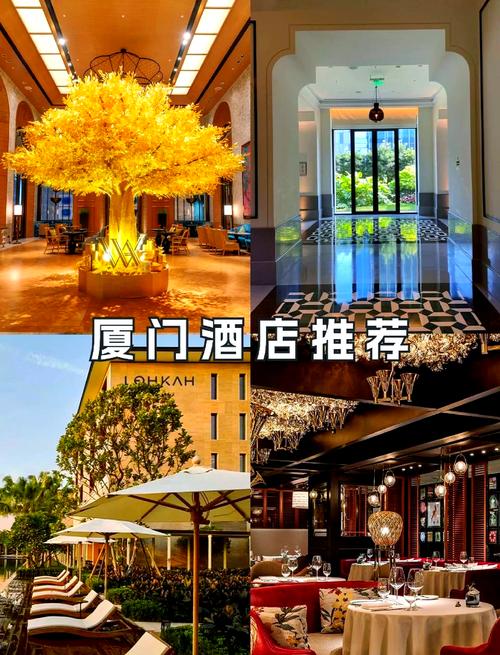 厦门鼓浪屿住宿怎么选？攻略推荐哪些？-第1张图片-星月文旅