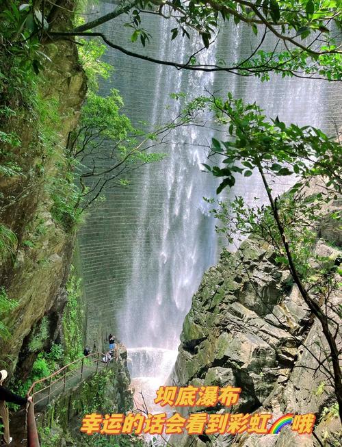 杭州天目山旅游景点攻略有哪些必玩？-第2张图片-星月文旅