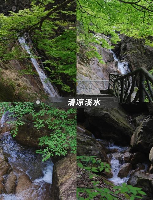 杭州天目山旅游景点攻略有哪些必玩？-第3张图片-星月文旅