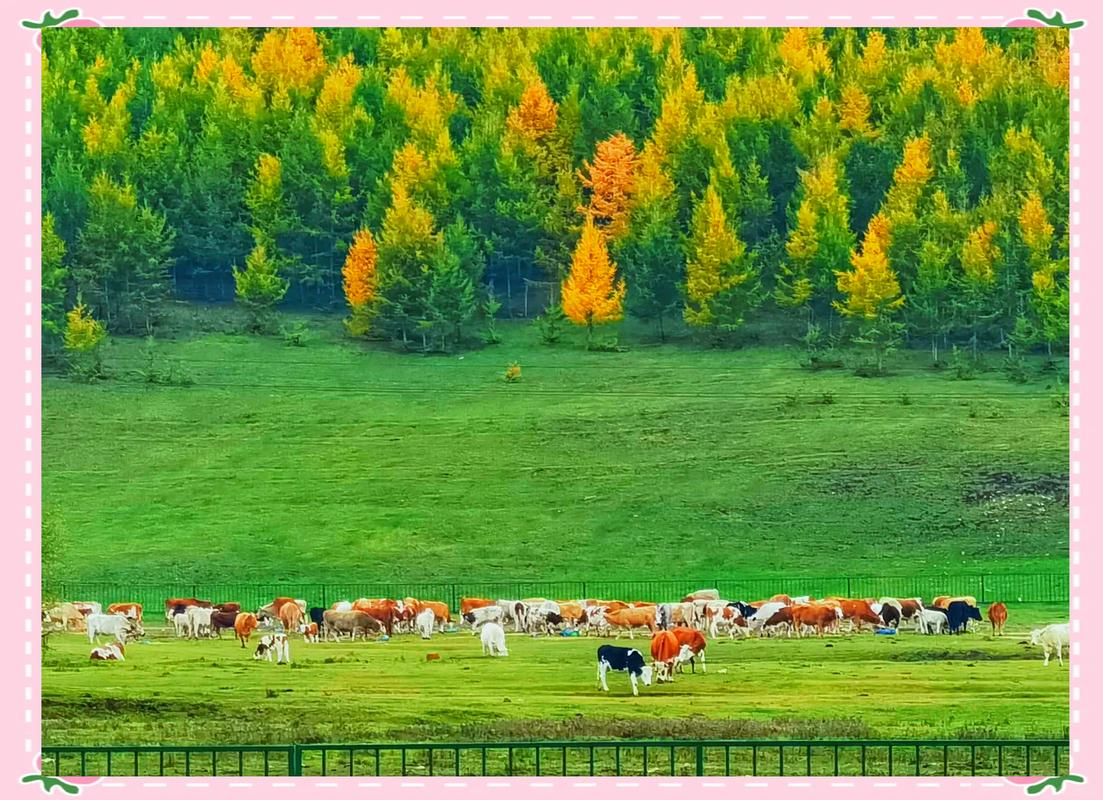 十月适合去哪里自驾游-第1张图片-星月文旅