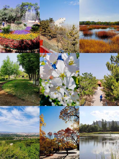 乌素图公园能自驾进去吗？-第1张图片-星月文旅