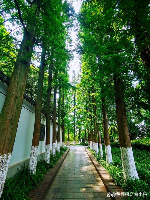 马鞍山周边自驾游去哪玩？-第3张图片-星月文旅