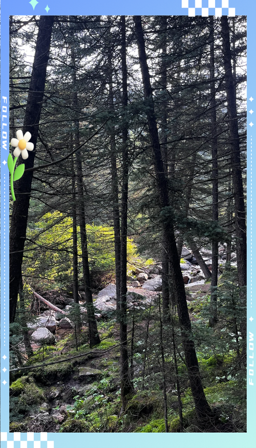 五寨荷叶坪自驾游怎么玩最尽兴？-第1张图片-星月文旅