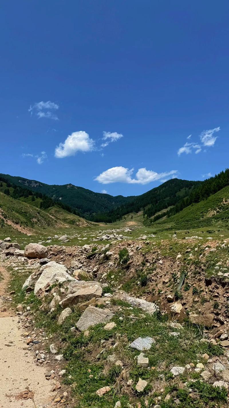 五寨荷叶坪自驾游怎么玩最尽兴？-第2张图片-星月文旅