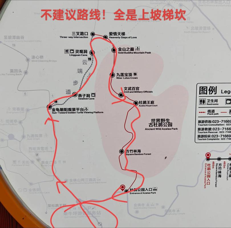 金佛山二日自驾游攻略-第1张图片-星月文旅