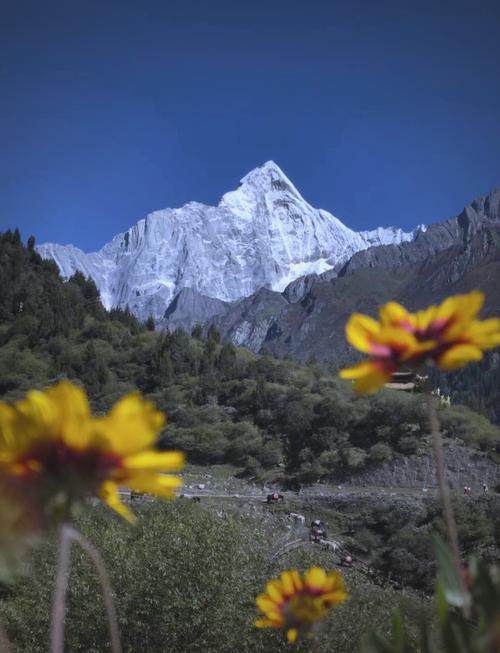 广元到四姑娘山自驾游路线怎么走？-第3张图片-星月文旅