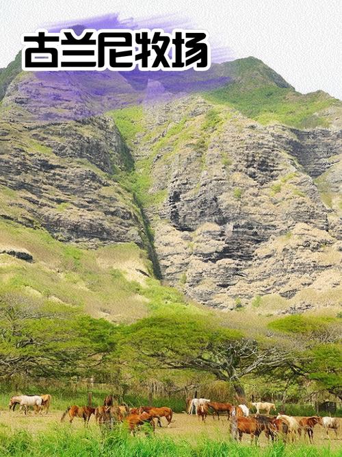 火奴鲁鲁旅游怎么玩？攻略有哪些必打卡？-第1张图片-星月文旅