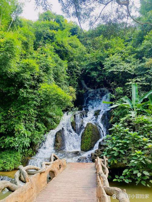 南宁凤凰旅游必打卡有哪些？-第1张图片-星月文旅