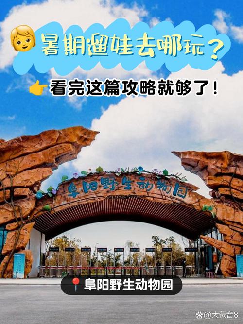 2025亲子旅游去哪玩？攻略有哪些必打卡？-第2张图片-星月文旅