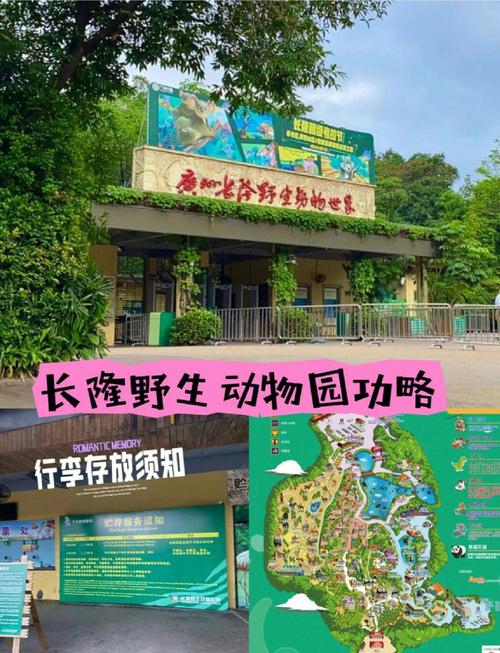 长隆动物园自驾游门票怎么买？-第2张图片-星月文旅
