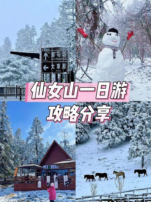 夏天仙女山自驾游怎么玩最尽兴？-第1张图片-星月文旅