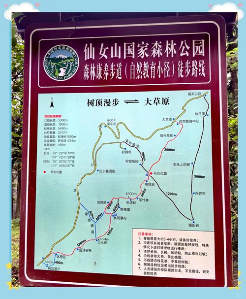 夏天仙女山自驾游怎么玩最尽兴？-第3张图片-星月文旅