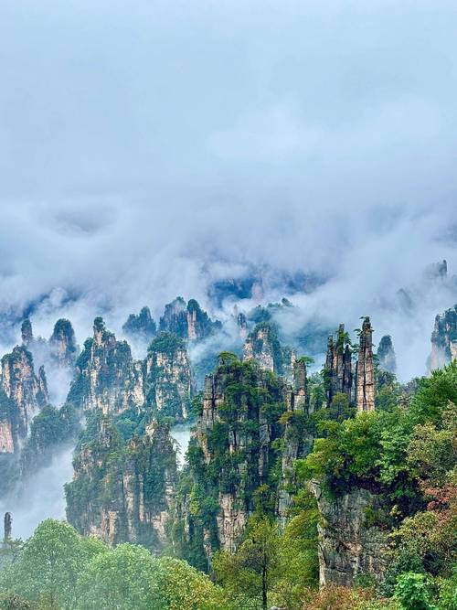 张家界自驾游有哪些必打卡景点？-第1张图片-星月文旅