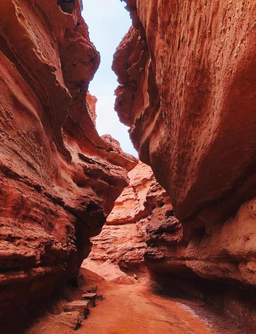 巴彦淖尔周边自驾游去哪玩？-第1张图片-星月文旅