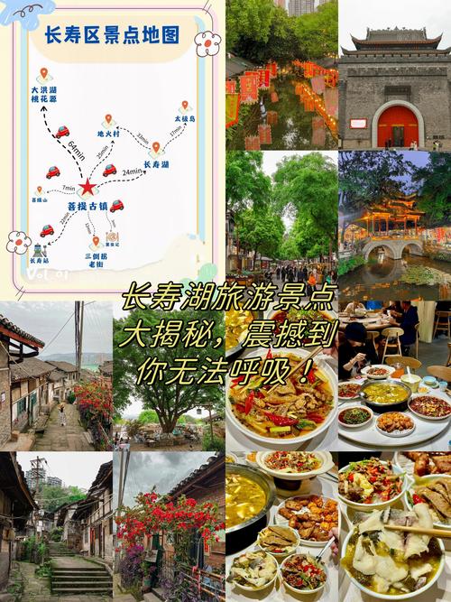 长寿路线怎么选？有哪些必打卡景点？-第1张图片-星月文旅