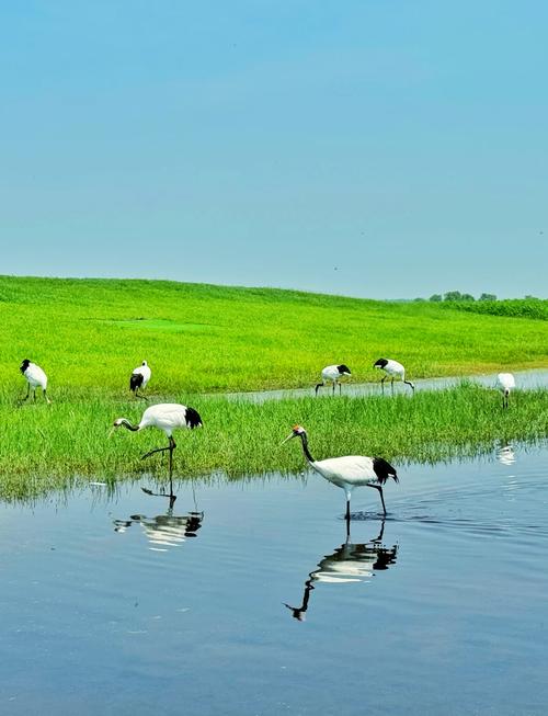 齐齐哈尔周边有哪些值得一游的景点？-第1张图片-星月文旅
